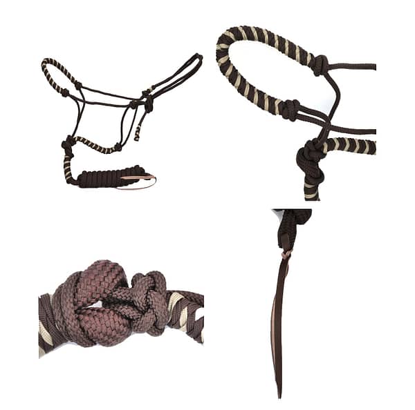 Online Animal Accessories Shop near you
