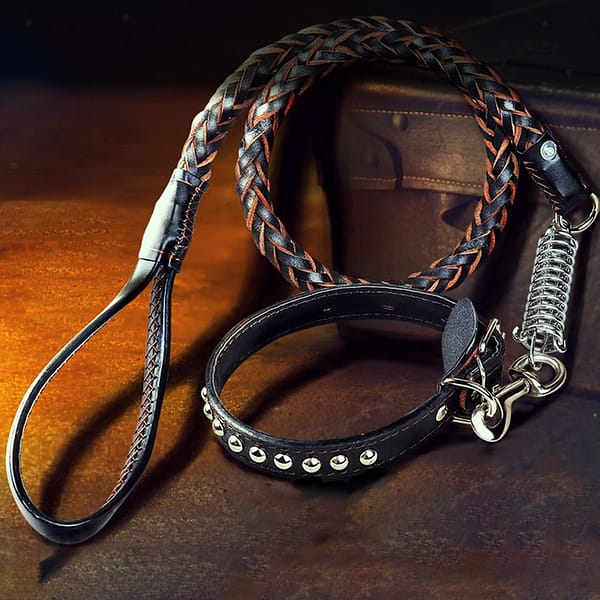 Luciano Leather Dog Collar And Leash Set - Copy
