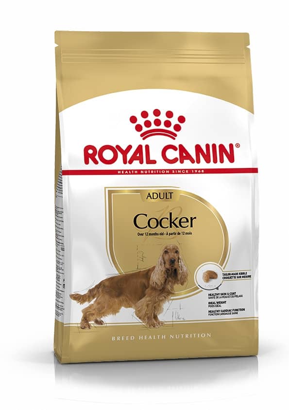 Royal Canin Breed Health Nutrition Cocker Adult Dry Food