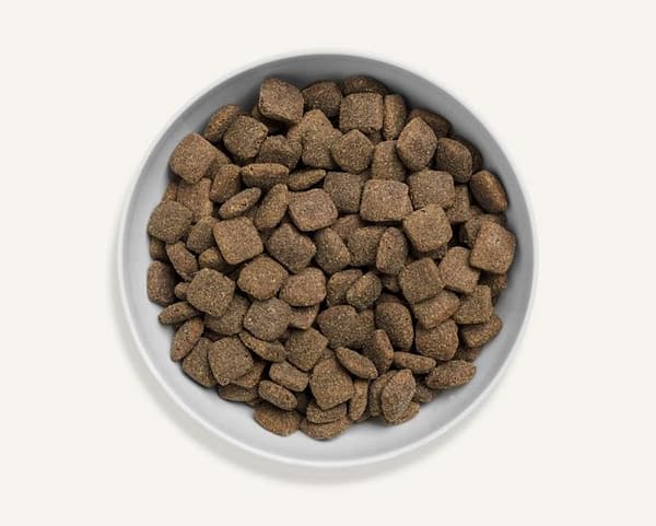 Canagan Grass Fed Lamb For Dogs Dry Food 12 Kg Pic 2