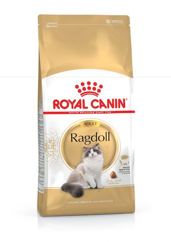 Royal Canin Feline Breed Nutrition Ragdoll Adult Dry Food